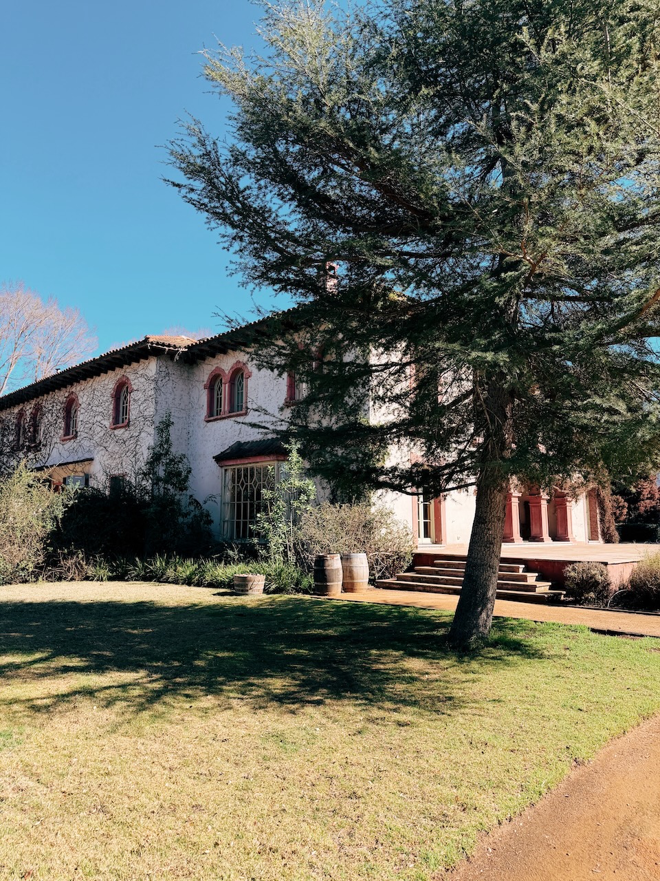 Júlia Jasper - Conhecendo o Mundo com Julia - Terroir Collection Casona de 1927