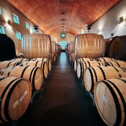Sala de barricas e experimentos da Viña San Pedro