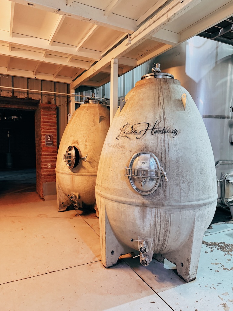 Ovos de concreto vinhos Vale de Colchagua