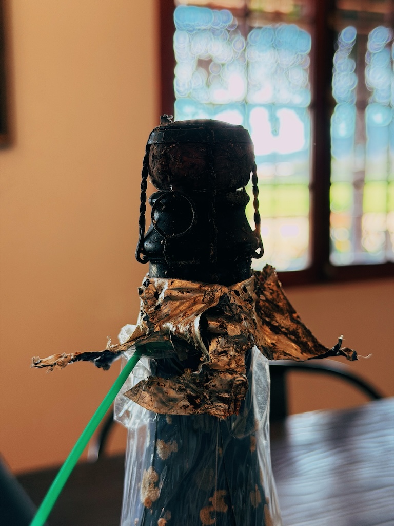 Degustação vinhos que envelheceram embaixo do mar no oceano pacífico Laura Hartwig