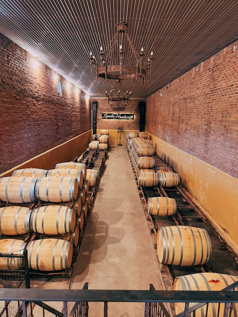Adega - Bodega de barris de guarda Laura Hartwig