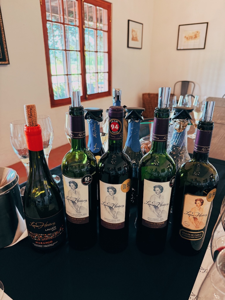 Degustação vinhos que envelheceram embaixo do mar no oceano pacífico Laura Hartwig