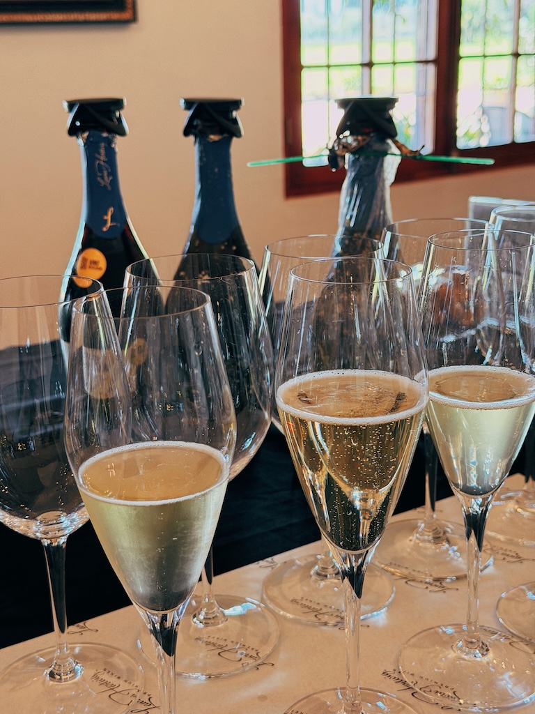 Degustação vinhos que envelheceram embaixo do mar no oceano pacífico Laura Hartwig