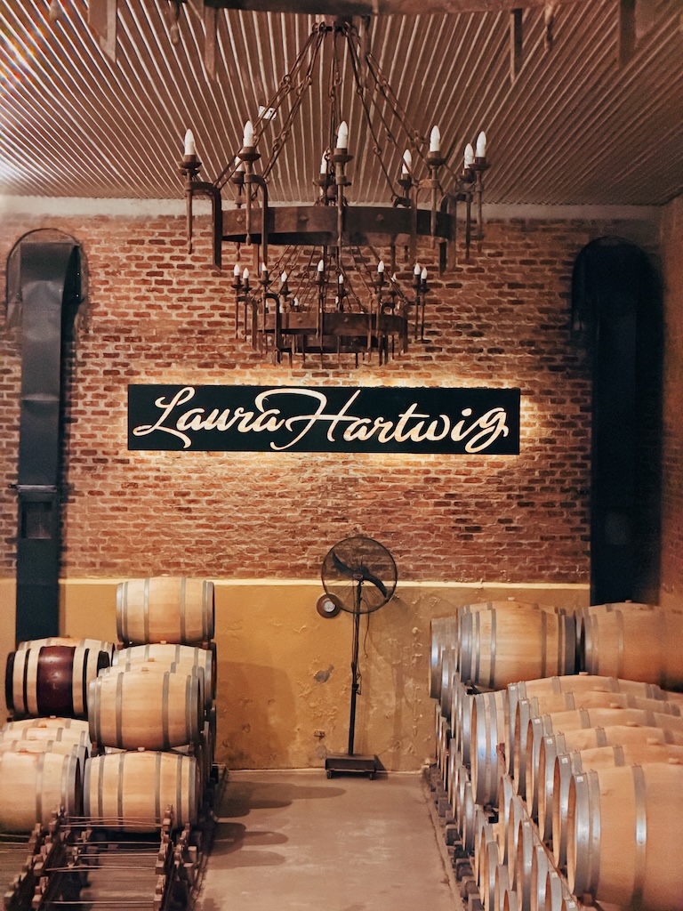 Visita Laura Hartwig - Vinícola no Vale do Colchagua
