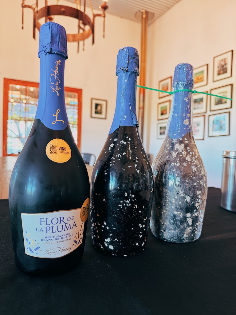 Degustação vinhos que envelheceram embaixo do mar no oceano pacífico Laura Hartwig
