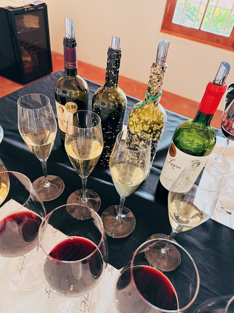 Degustação vinhos que envelheceram embaixo do mar no oceano pacífico Laura Hartwig
