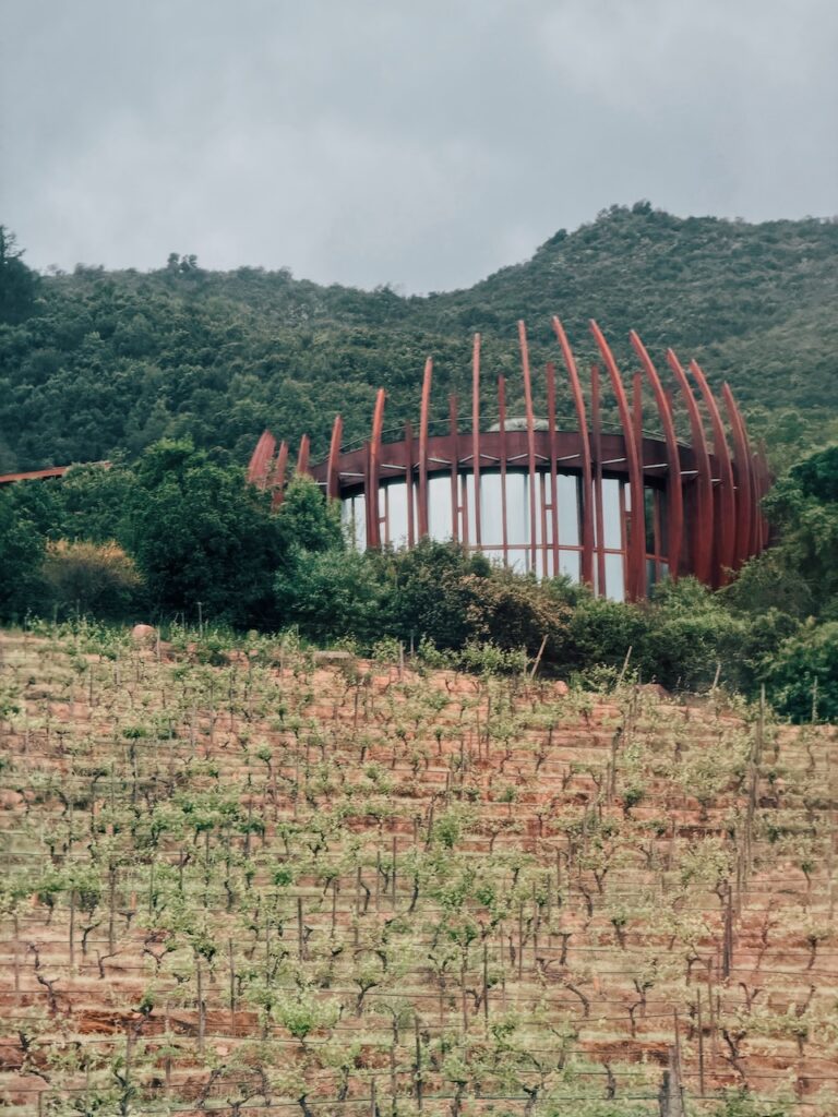 Vinícola Clos Apalta e o anfiteatro de vinhedos no Vale de Apalta, Colchagua - Conhecendo o Mundo com Julia | Terroir Collection - Clos Apalta Residence