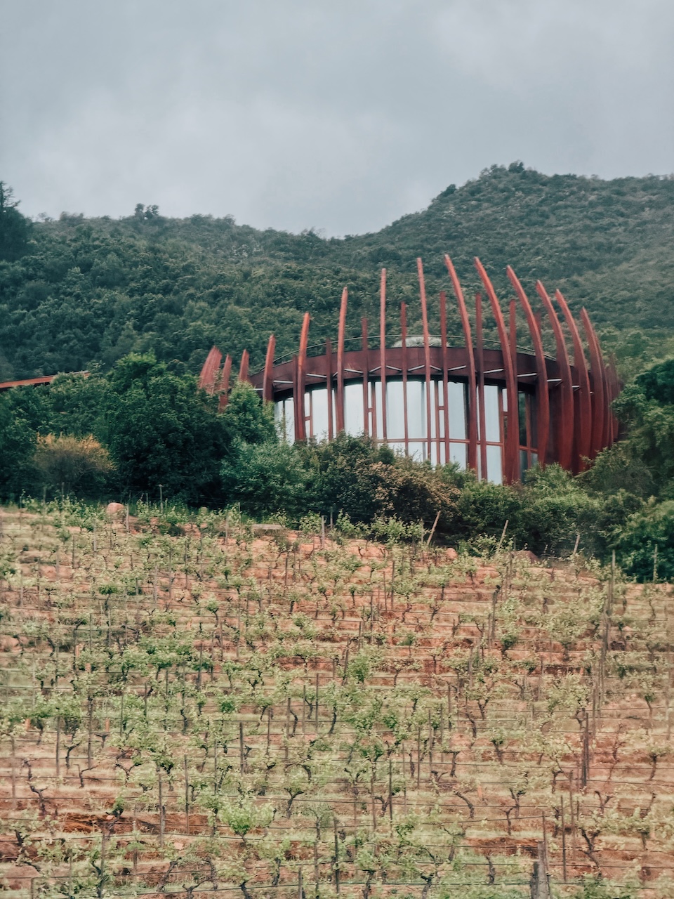 Vinícola Clos Apalta e o anfiteatro de vinhedos no Vale de Apalta, Colchagua - Conhecendo o Mundo com Julia | Terroir Collection - Clos Apalta Residence