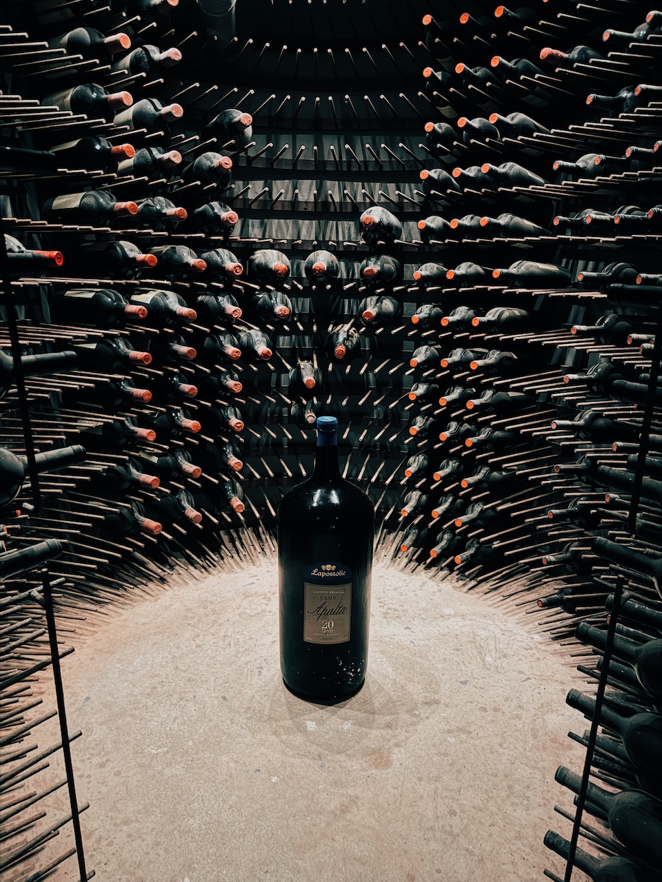 Vinoteca da família Bournet-Lapostolle Clos Apalta - Conhecendo o Mundo com Julia | Terroir Collection