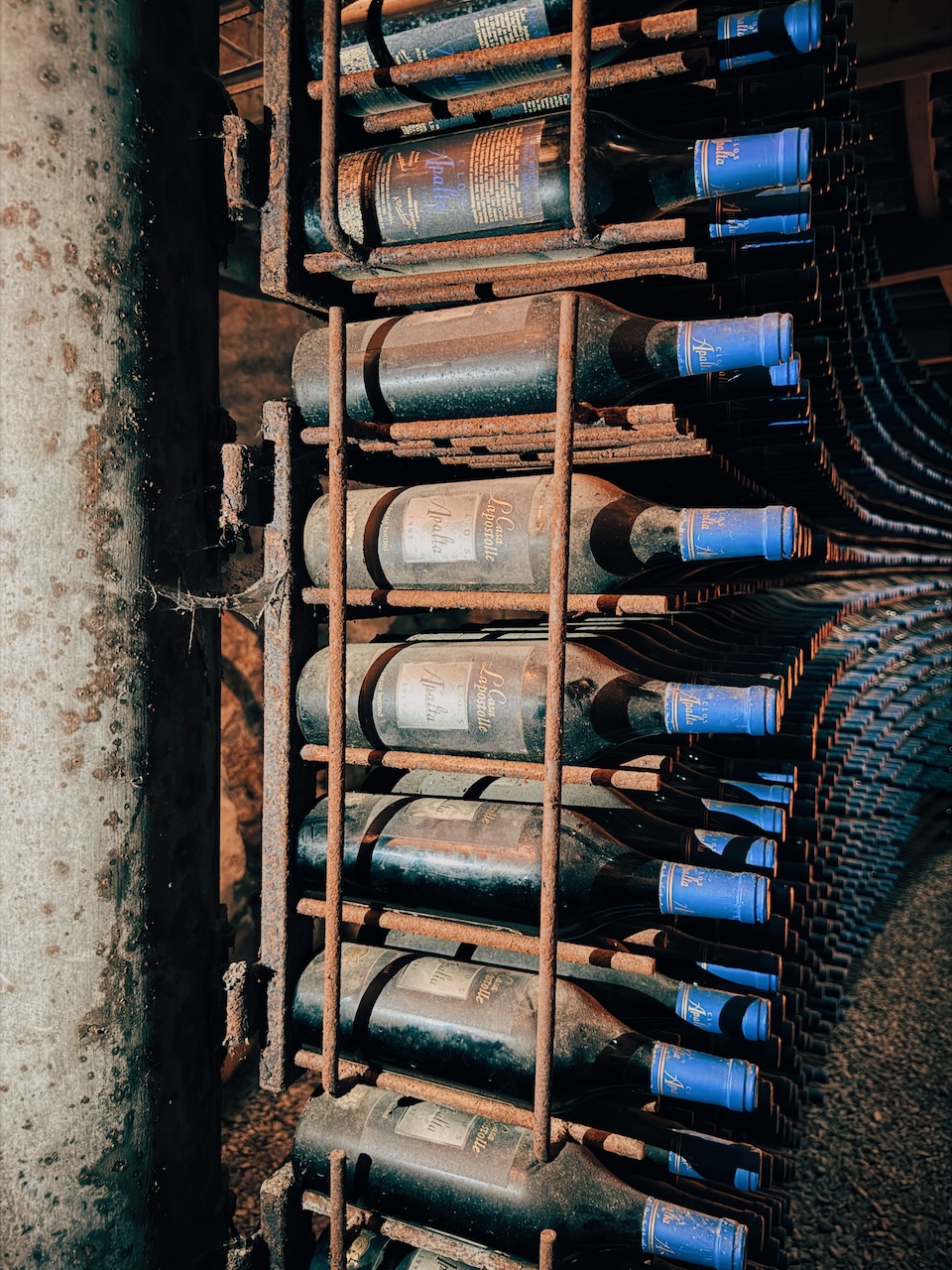 Vinoteca da família Bournet-Lapostolle Clos Apalta - Conhecendo o Mundo com Julia | Terroir Collection 1997