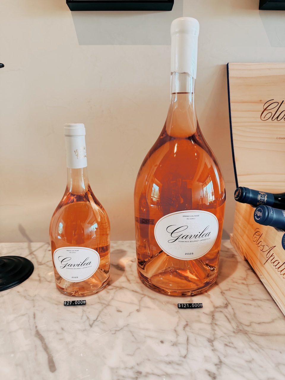 rosé Gavilea, produção limitada do Vale de Apalta, Chile - Conhecendo o Mundo com Julia | Terroir Collection
