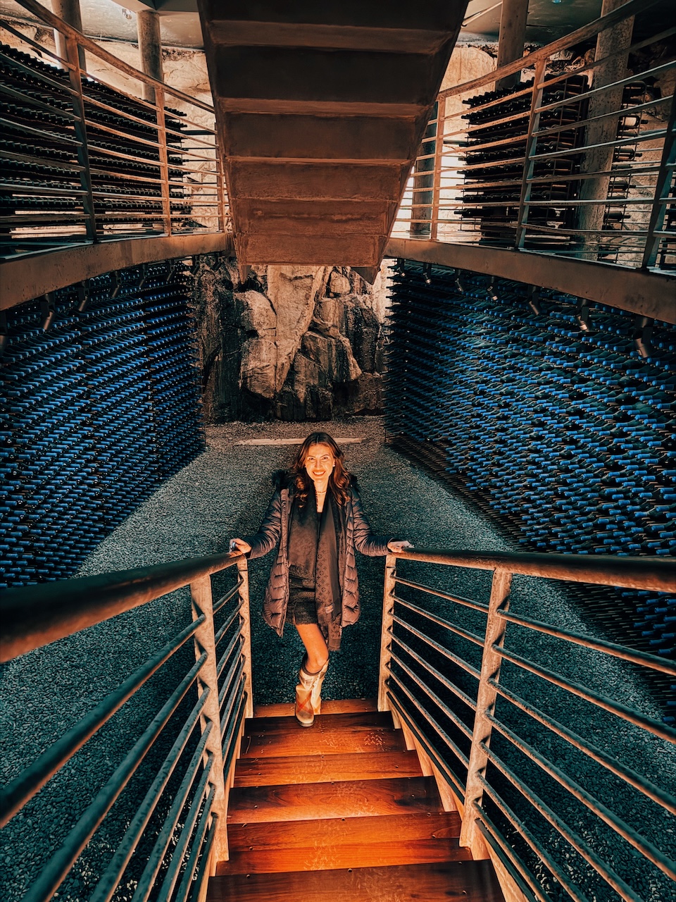 Vinoteca da família Bournet-Lapostolle Clos Apalta - Conhecendo o Mundo com Julia | Terroir Collection