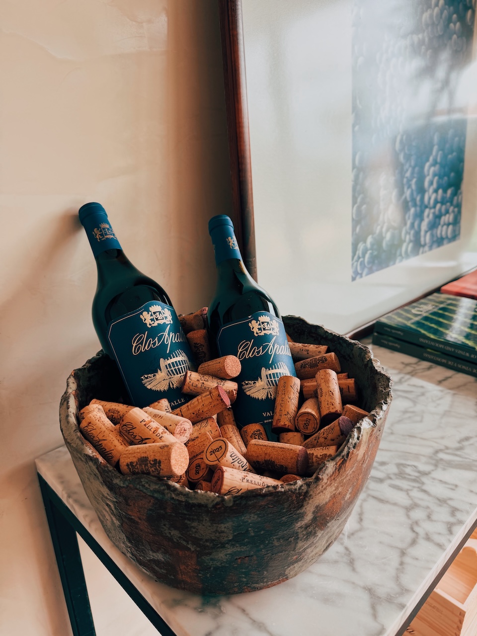 Garrafa de Clos Apalta 2022, vinho ícone de Carménère do Vale de Apalta - Conhecendo o Mundo com Julia | Terroir Collection